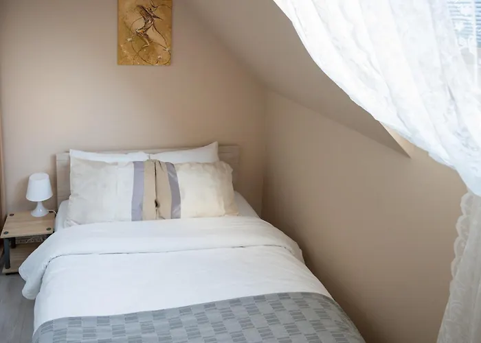 Design Loft In The Center Apartament Sofia