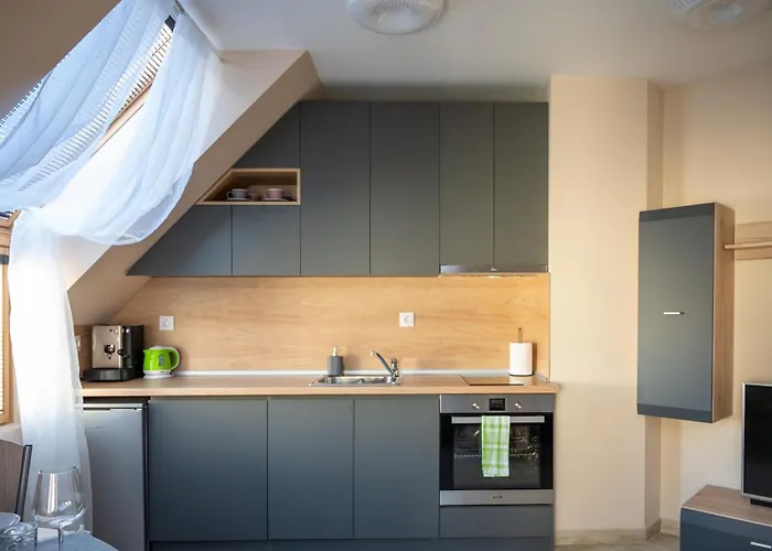 Apartament Design Loft In The Center